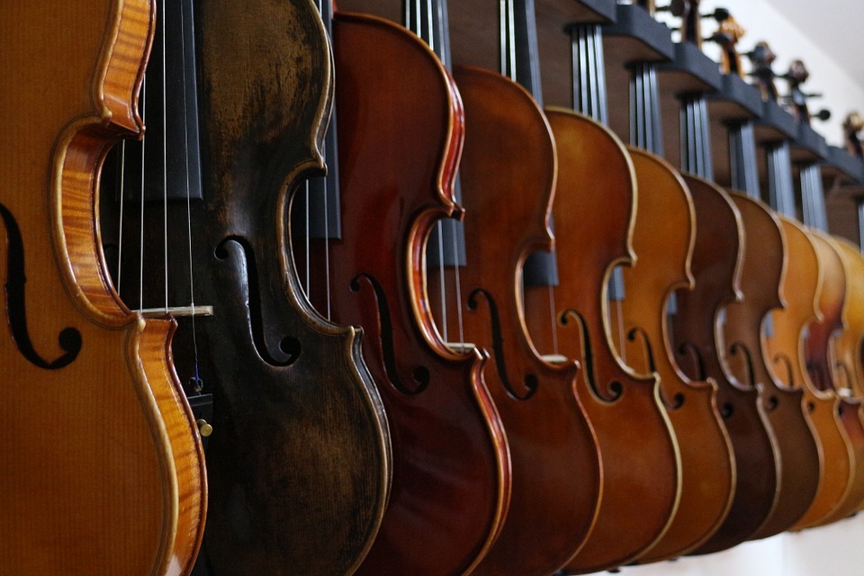 Nieuw schooljaar: nieuwe cursussen viool en cello